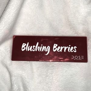 An eyeshadow palette including a brush with dark beautiful shades.